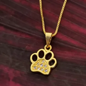 Colar Patinha Cravejada Ouro 18K